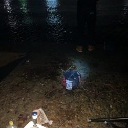 深夜のアナゴ ＆デカガシラ