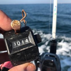 室津のカットウ釣り