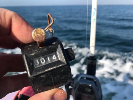 室津のカットウ釣り