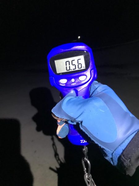 やったぜアオリ!