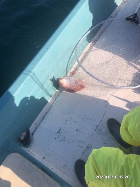 12/10 伊島沖ジギング