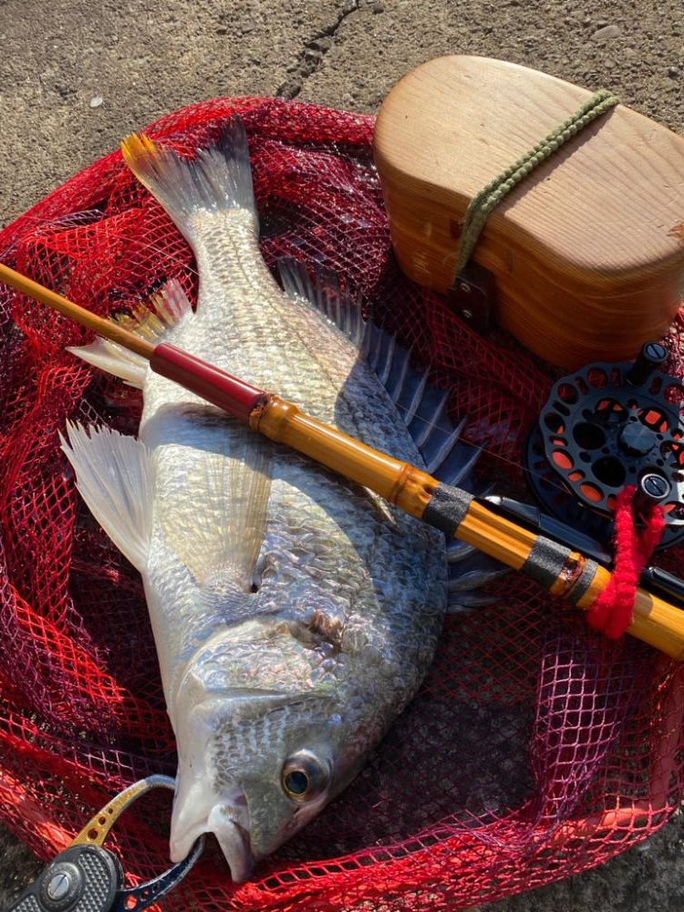 ヘチってきました