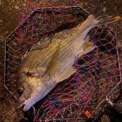 ヘチってきました