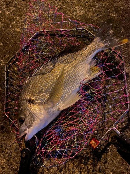 ヘチってきました