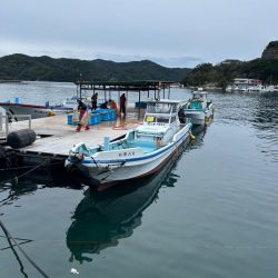 海上釣り堀 傳八屋