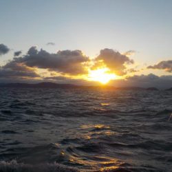 タチウオ最終戦・初タチウオジギング〜盛和丸〜