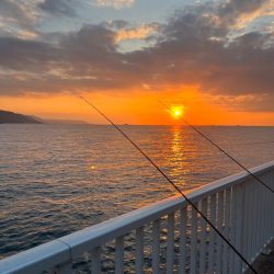 ぽかぽかフィッシング