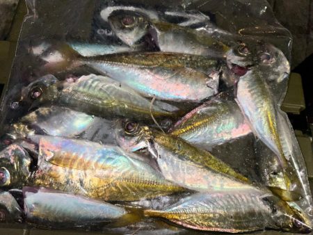 シビアなアタリ