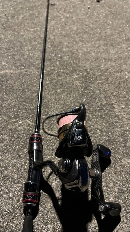 今日から風がやむはずが…