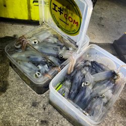 プチ1091ヒイカ釣り(^^)／