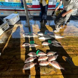 海上釣り堀　あなたに逢い鯛