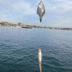 赤灯台〜東二見釣行!