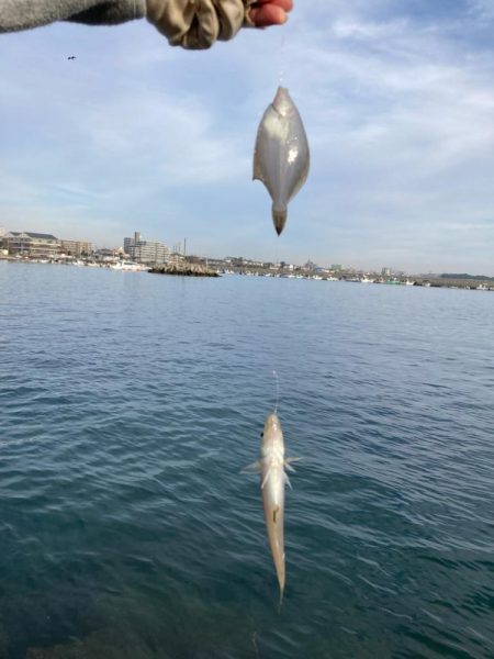 赤灯台〜東二見釣行!