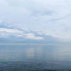 渋すぎて寒すぎる釣行 今日もキス狙い!