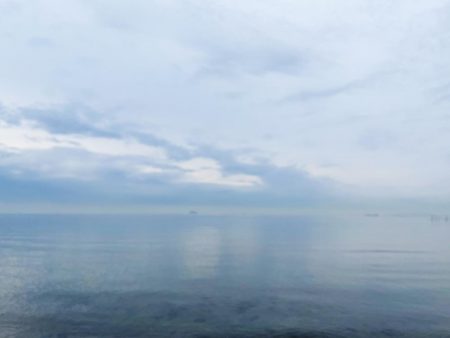 渋すぎて寒すぎる釣行 今日もキス狙い!