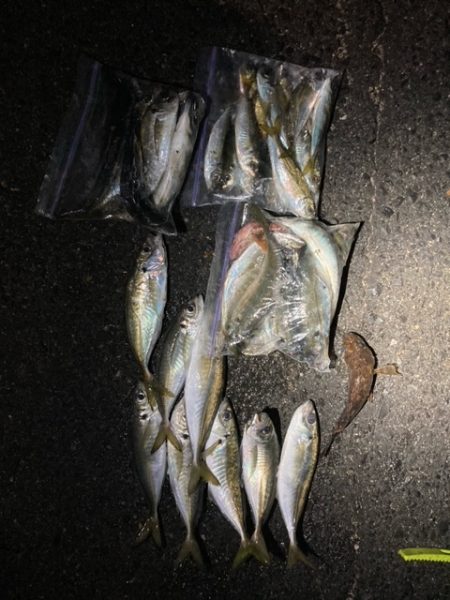 メバリング、アジング