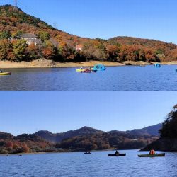 愛知県入鹿池ボート ワカサギ釣り！