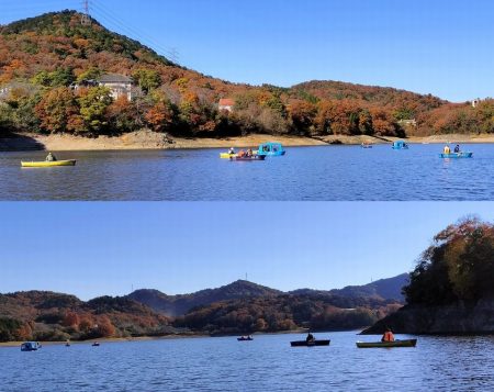 愛知県入鹿池ボート ワカサギ釣り！