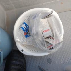 清掃活動：今年初のウマズラハギ！！