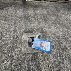 清掃活動：外道さん