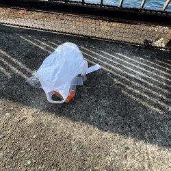 清掃活動：渋いシーズン到来