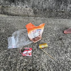 清掃活動：寒いだけ