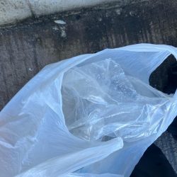 清掃活動：カゴ釣りで尺アジ