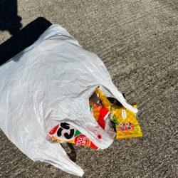 清掃活動：ヒラメが釣れました！