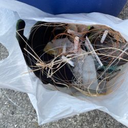 清掃活動：サゴシ祭り