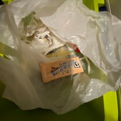 清掃活動：船カワハギ