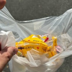 清掃活動：寒くてもアジング