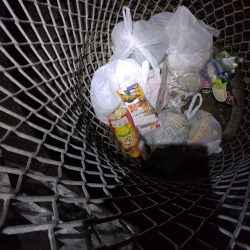 清掃活動：渋いこと