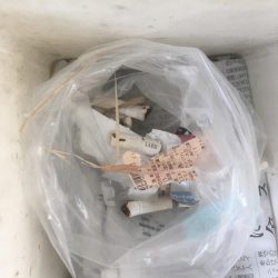 清掃活動：青物シーズン終了間近か