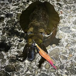 久しぶりのジェット噴射の感覚