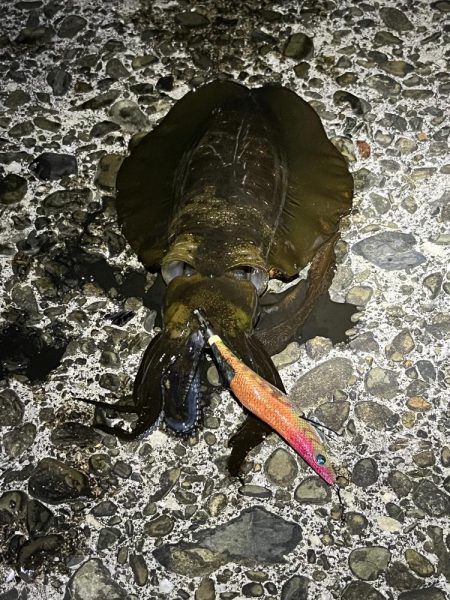 久しぶりのジェット噴射の感覚