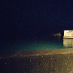 アジングで、カサゴ.キジハタ！