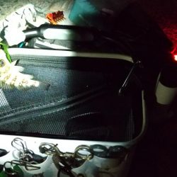 もれなく小さい