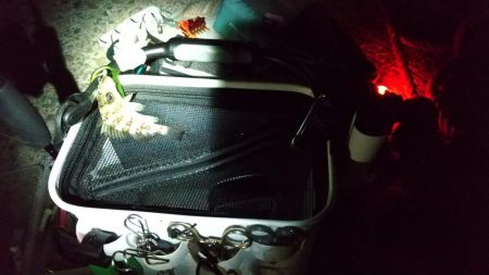 もれなく小さい