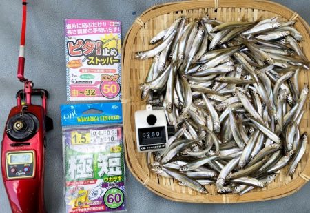 愛知県入鹿池貸ボート ワカサギ釣り！
