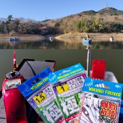 愛知県入鹿池貸ボート ワカサギ釣り！