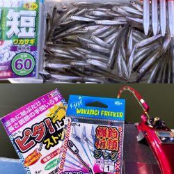 愛知県入鹿池貸ボート ワカサギ釣り！