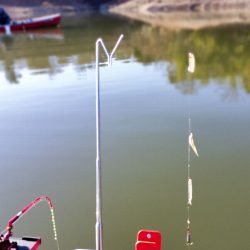 愛知県入鹿池貸ボート ワカサギ釣り！