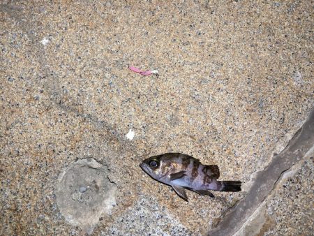 爆風ライトゲーム