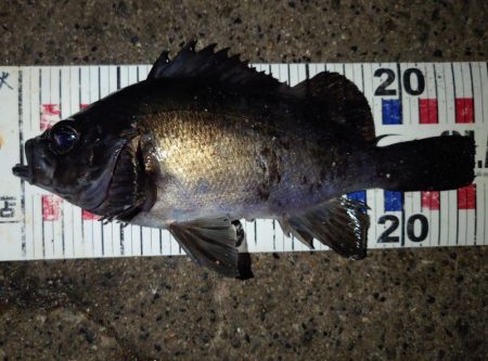 活性は高くない。