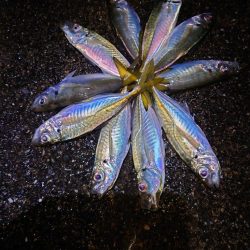 調子こきました。