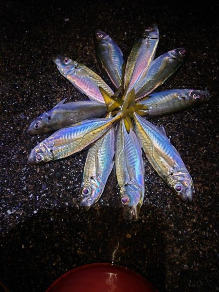 調子こきました。