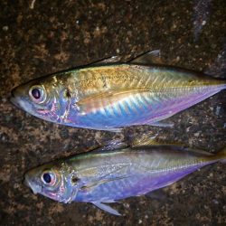 爆風からの吹雪