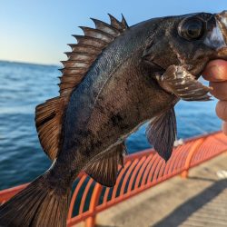 遠投カゴ釣りで真鯛狙い