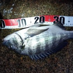 大塩海岸の投げ釣り