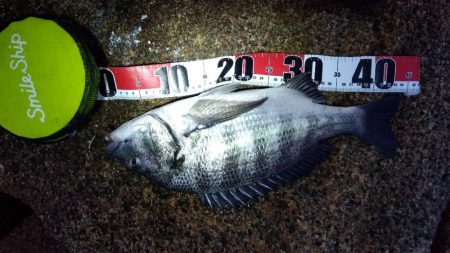 大塩海岸の投げ釣り